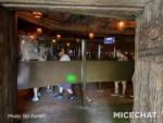 IMG_9928-30