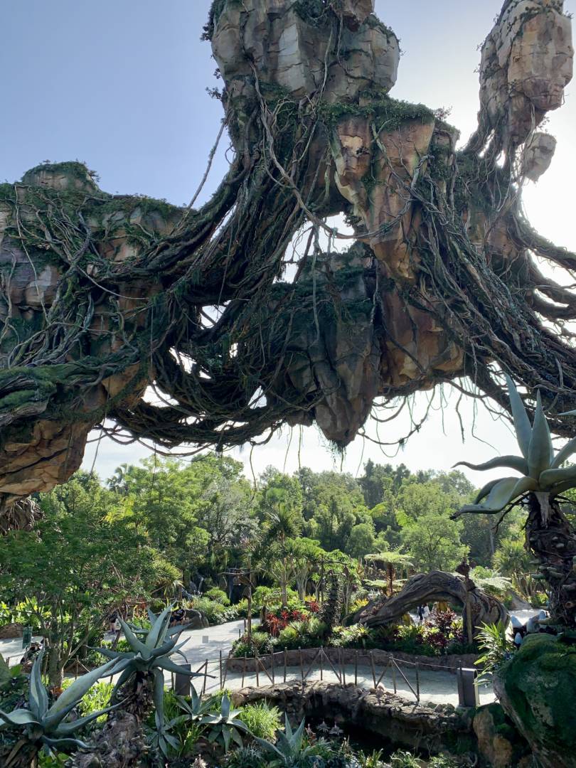 , Was the Reopening of Disney’s Animal Kingdom a Roaring Success?