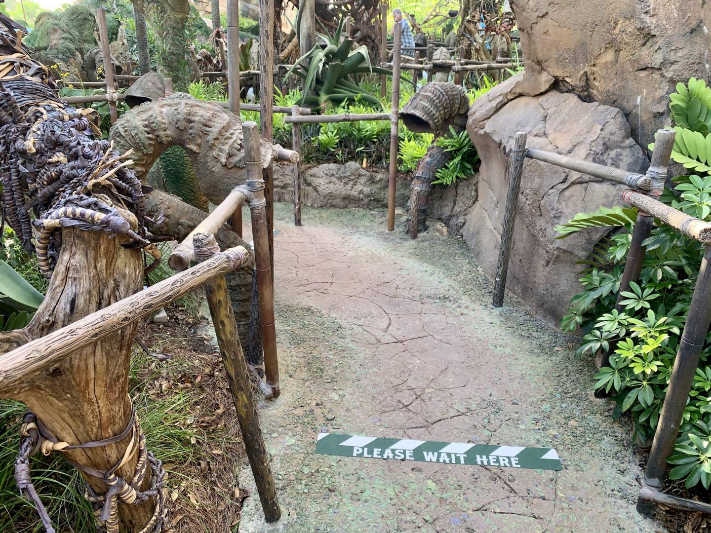 , Was the Reopening of Disney’s Animal Kingdom a Roaring Success?