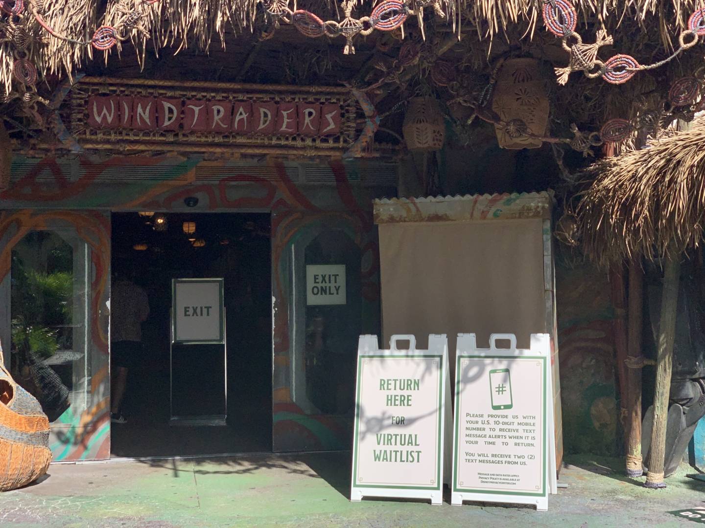 , Was the Reopening of Disney’s Animal Kingdom a Roaring Success?