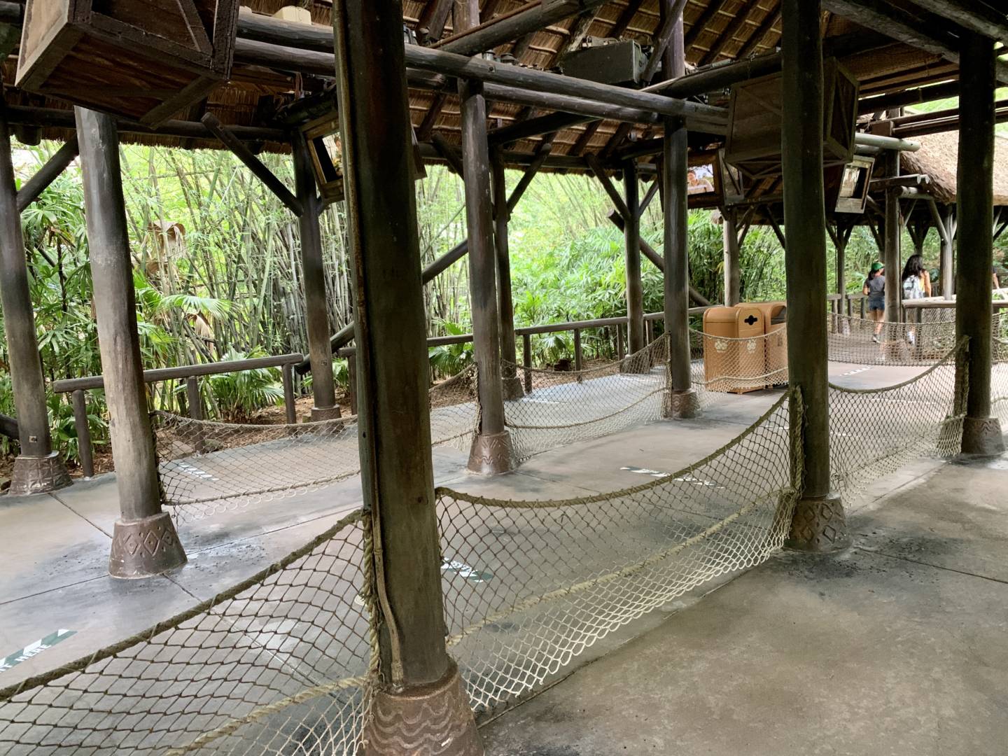, Was the Reopening of Disney’s Animal Kingdom a Roaring Success?