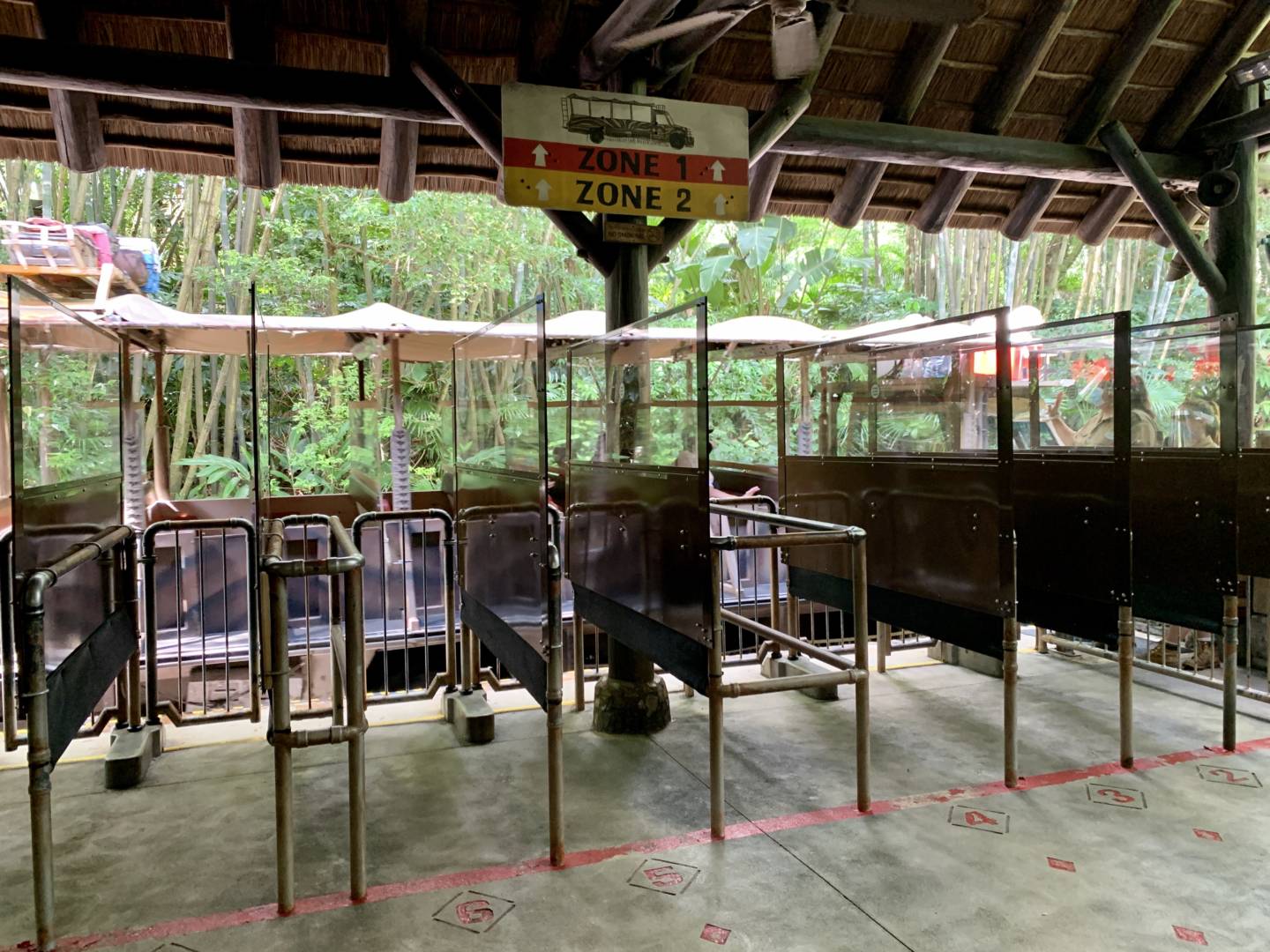 , Was the Reopening of Disney’s Animal Kingdom a Roaring Success?