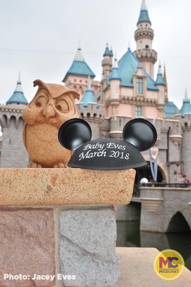 , Disneyland Update – 65th Anniversary Tragic Celebration