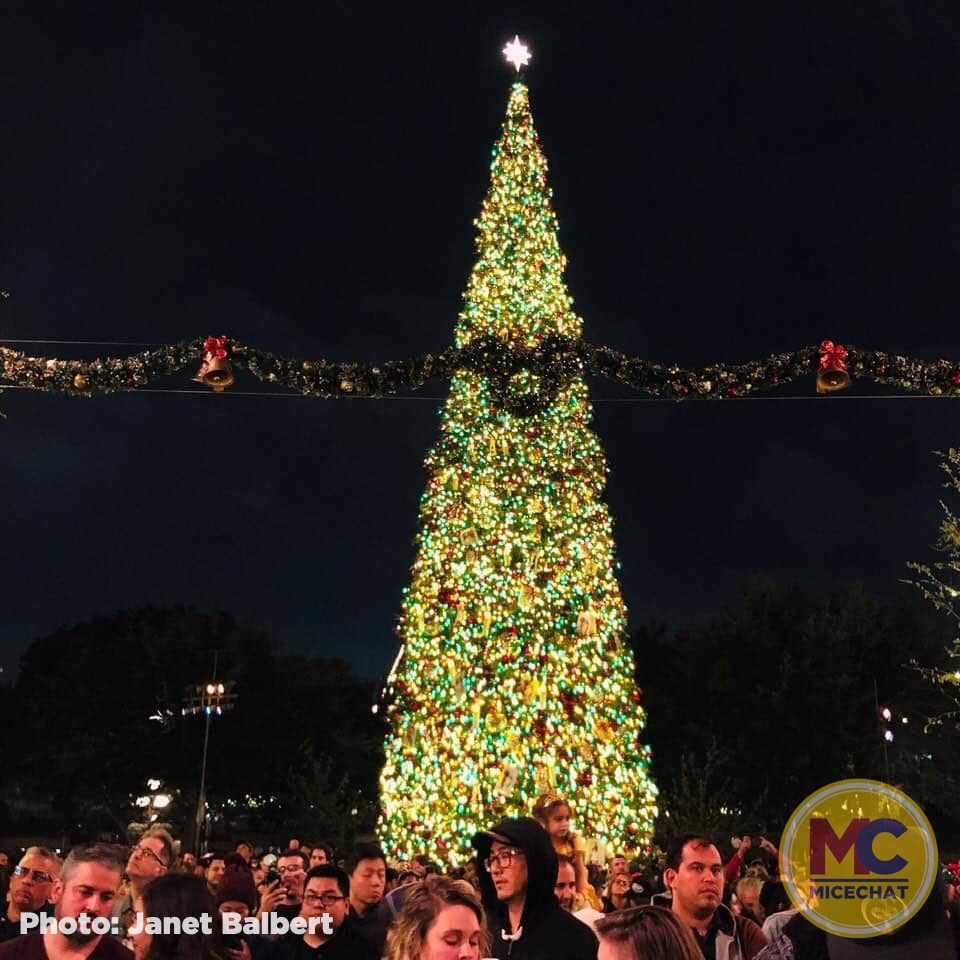 , Disneyland Update – It’s Beginning to Look a Lot Like Progress