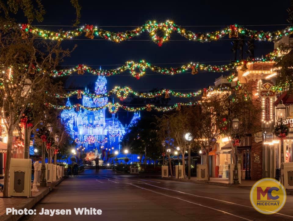 , Disneyland Update &#8211; It&#8217;s Beginning to Look a Lot Like Progress