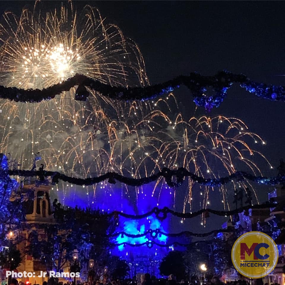 , Disneyland Update – It’s Beginning to Look a Lot Like Progress