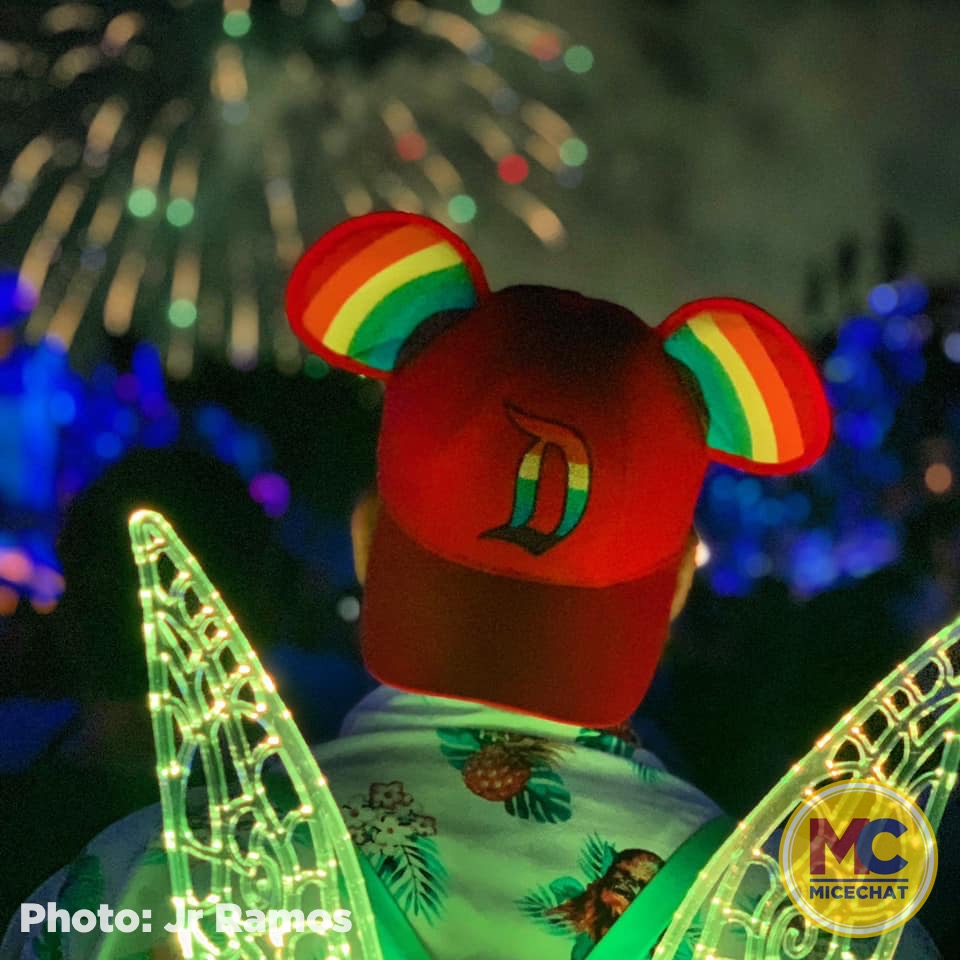, Disneyland Update – 65th Anniversary Tragic Celebration