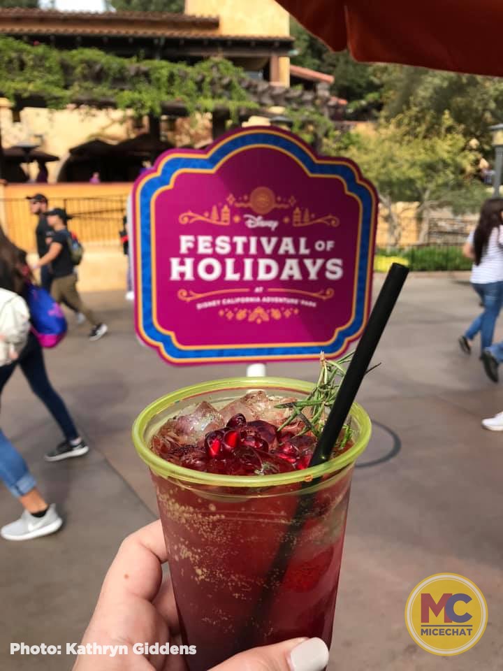 , Disneyland Update – It’s Beginning to Look a Lot Like Progress