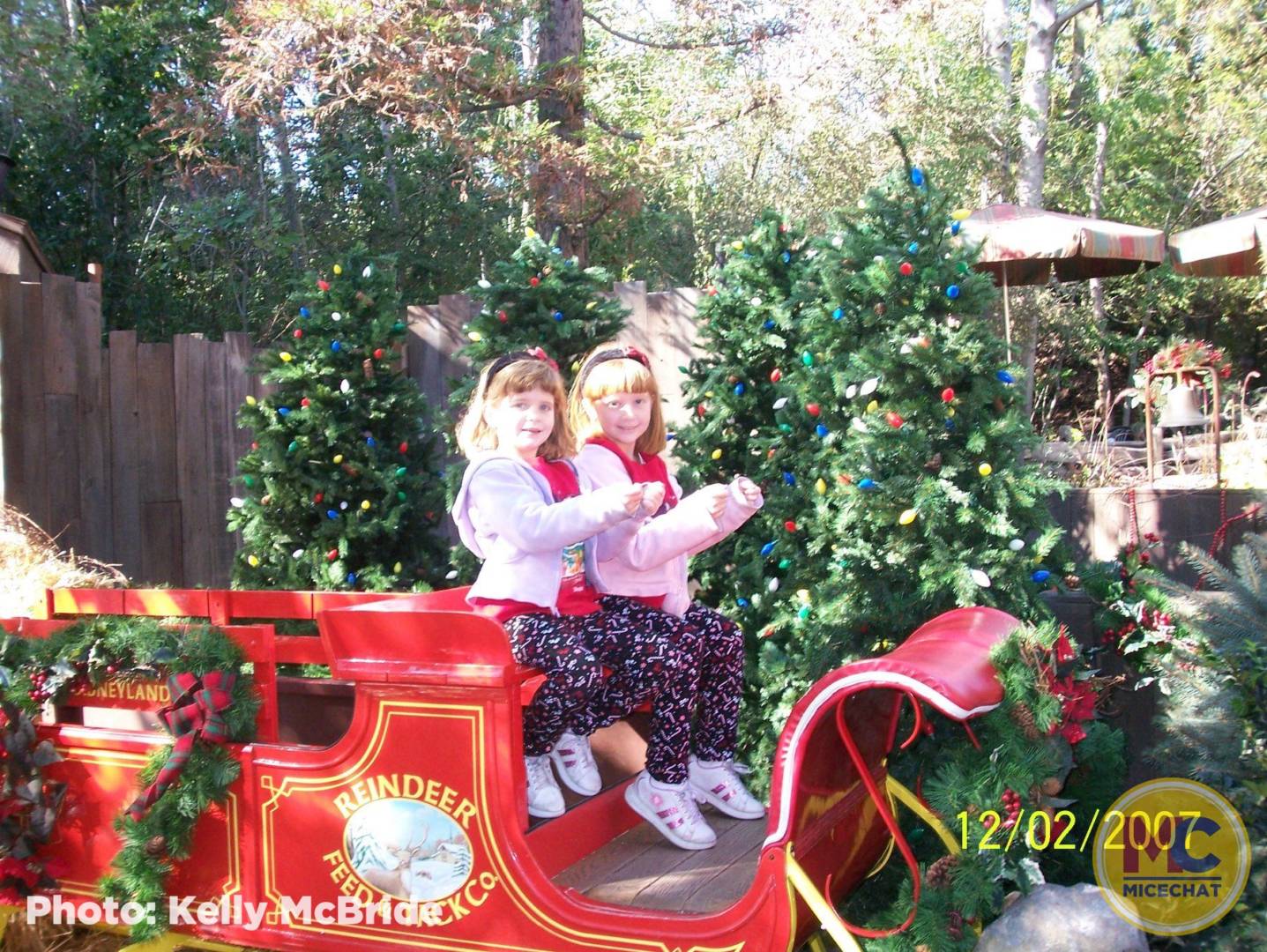 , Disneyland Update – It’s Beginning to Look a Lot Like Progress