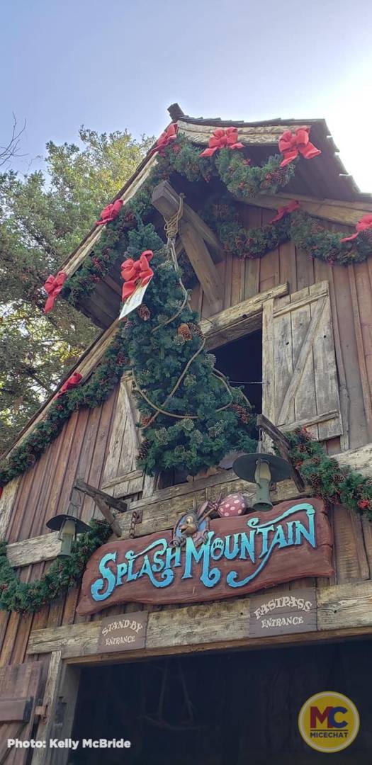 , Disneyland Update – It’s Beginning to Look a Lot Like Progress