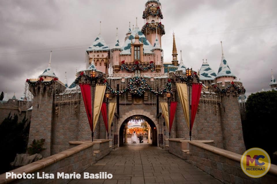, Disneyland Update – It’s Beginning to Look a Lot Like Progress