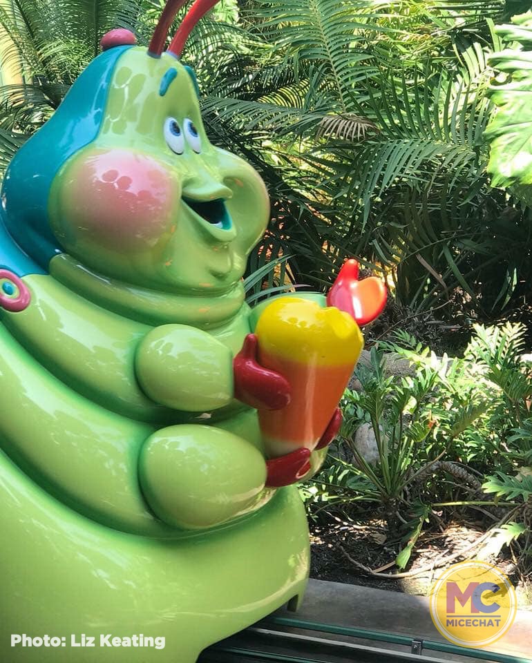 , Disneyland Update – Popping In and Bugging Out