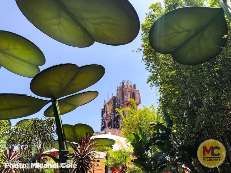 , Disneyland Update – Popping In and Bugging Out