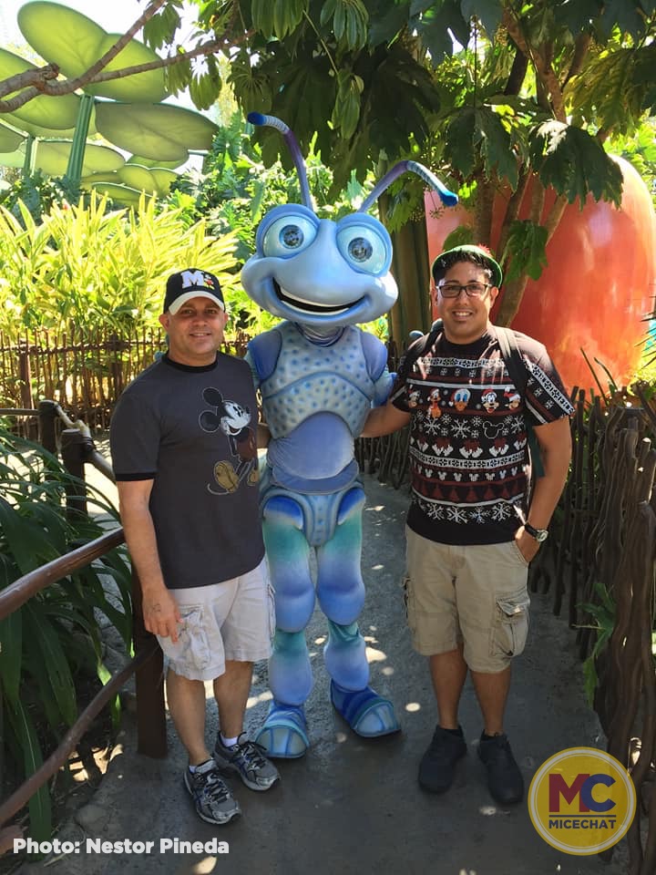 , Disneyland Update – Popping In and Bugging Out