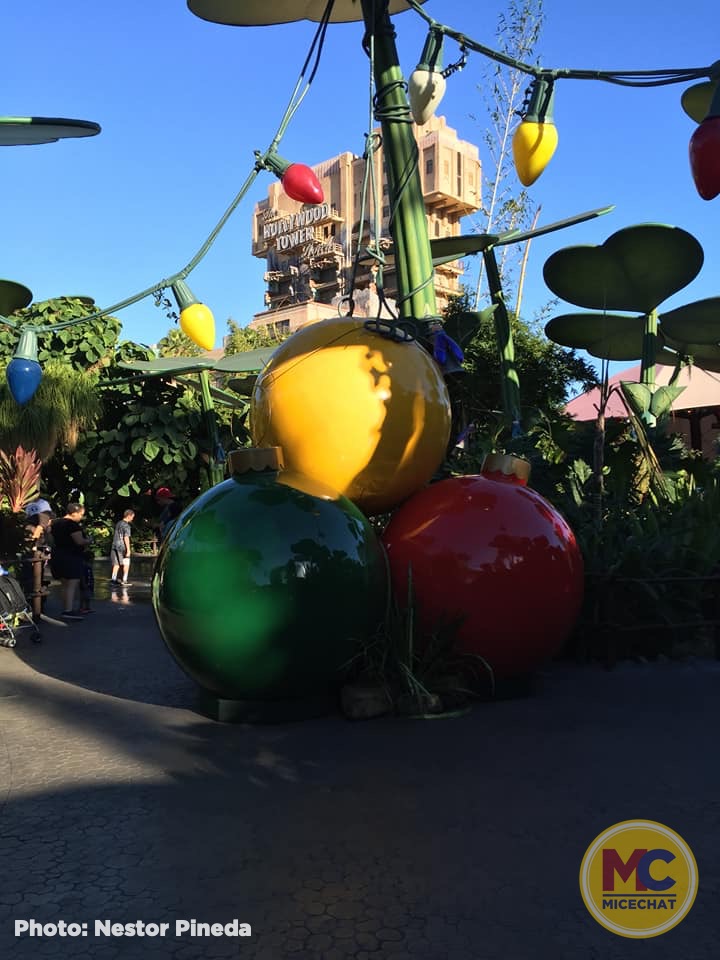 , Disneyland Update – Popping In and Bugging Out