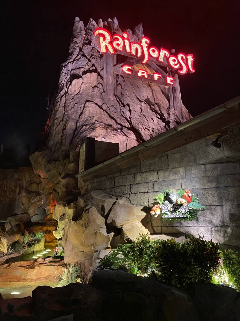 , Disney World Update – Risks and Rewards