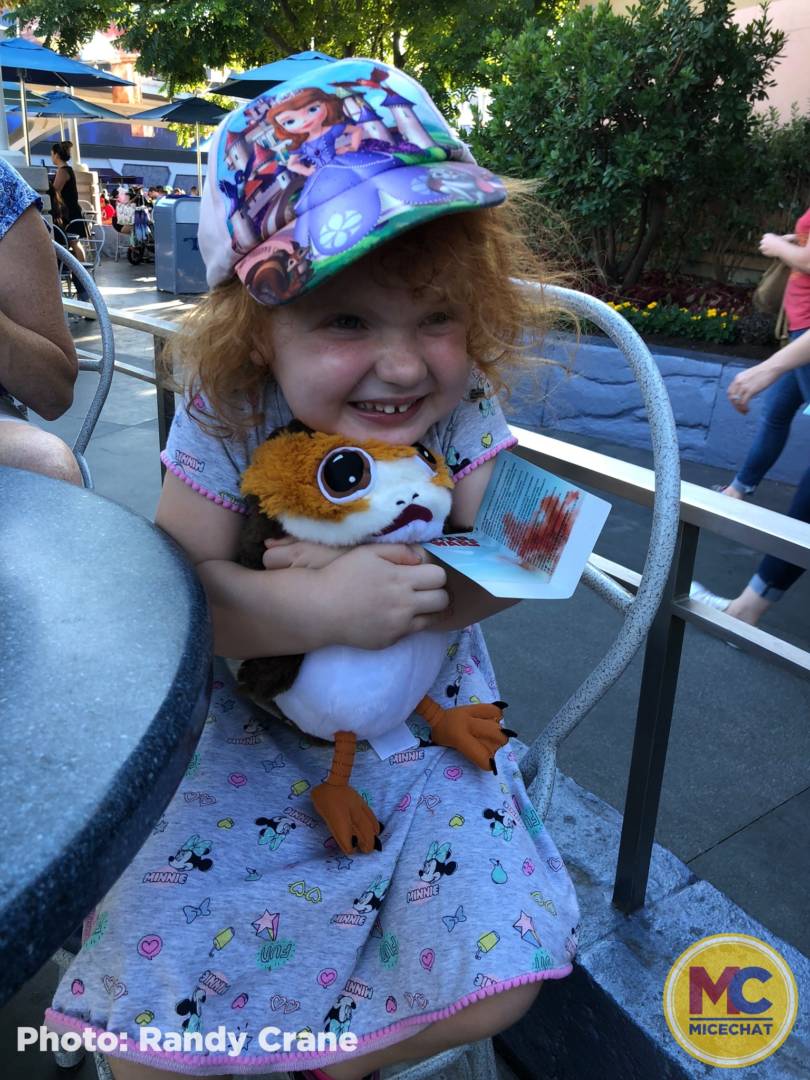 , Disneyland Update – 65th Anniversary Tragic Celebration