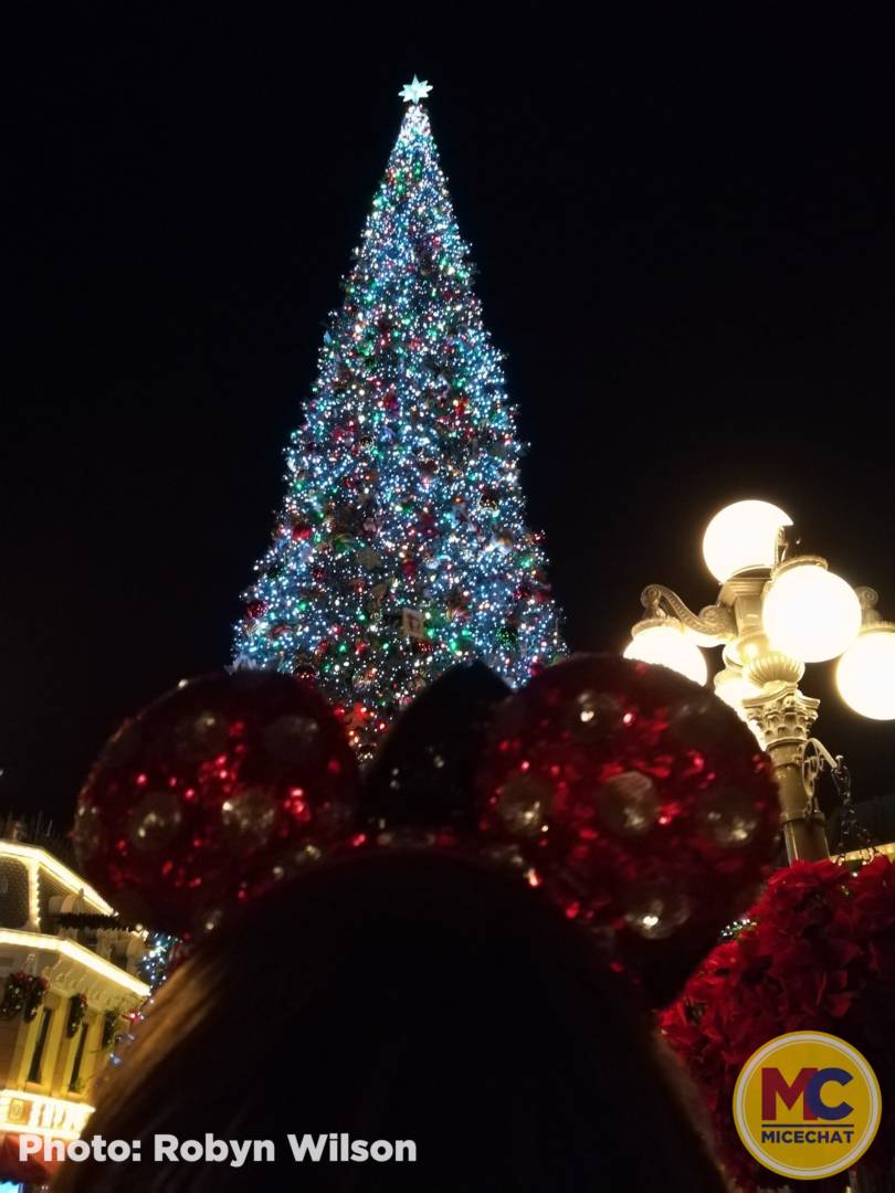 , Disneyland Update – 65th Anniversary Tragic Celebration