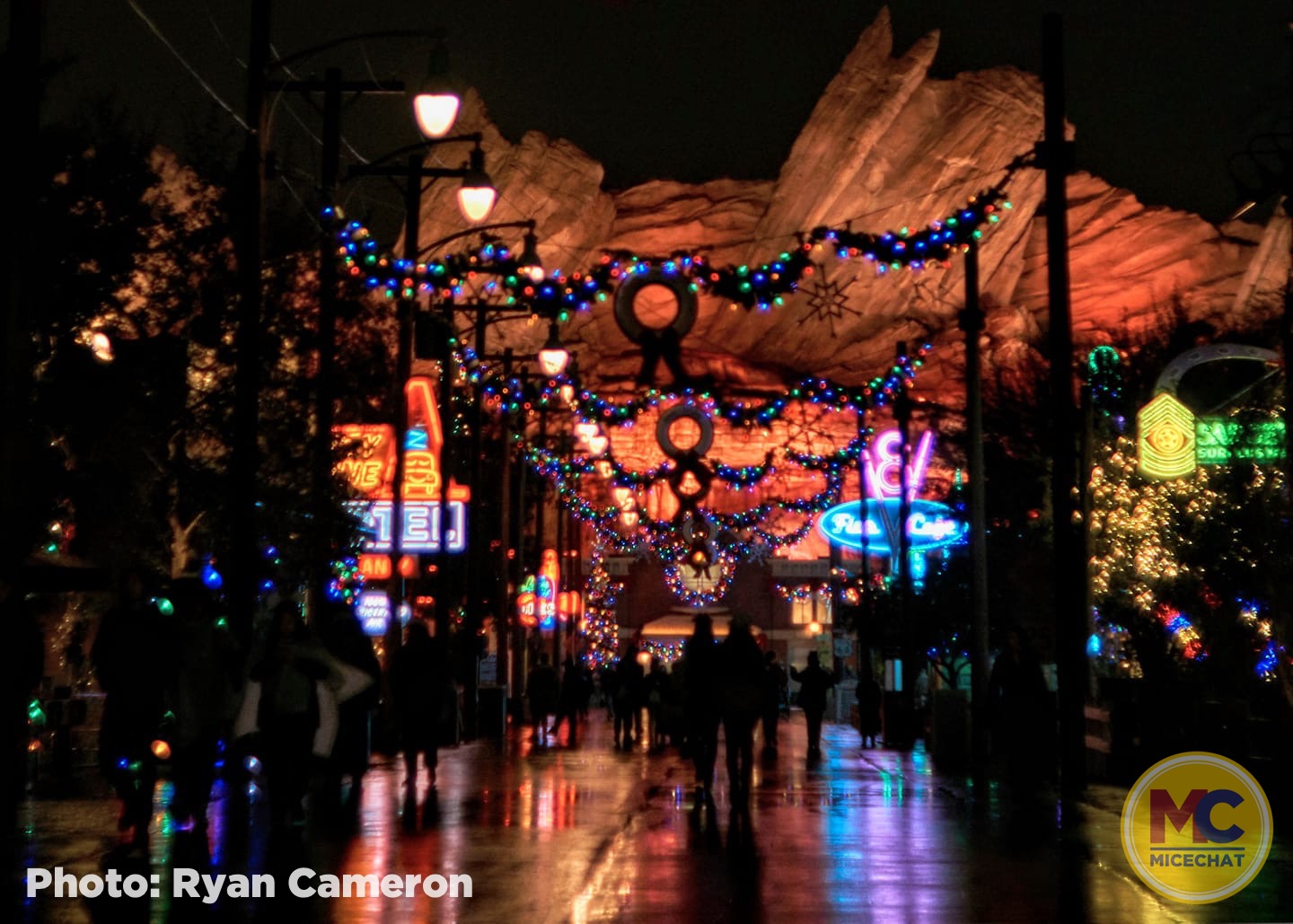, Disneyland Update – It’s Beginning to Look a Lot Like Progress
