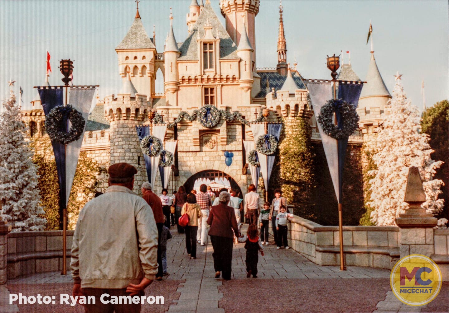 , Disneyland Update – It’s Beginning to Look a Lot Like Progress