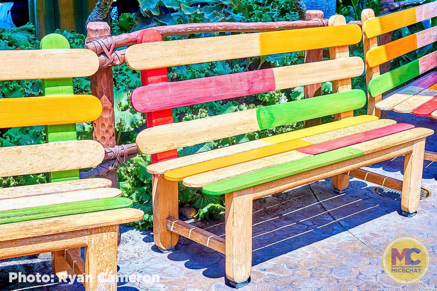 , Disneyland Update – Popping In and Bugging Out