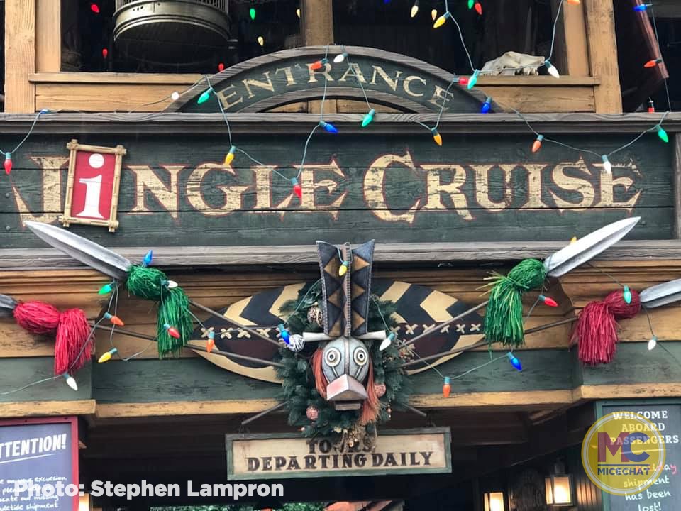 , Disneyland Update – It’s Beginning to Look a Lot Like Progress