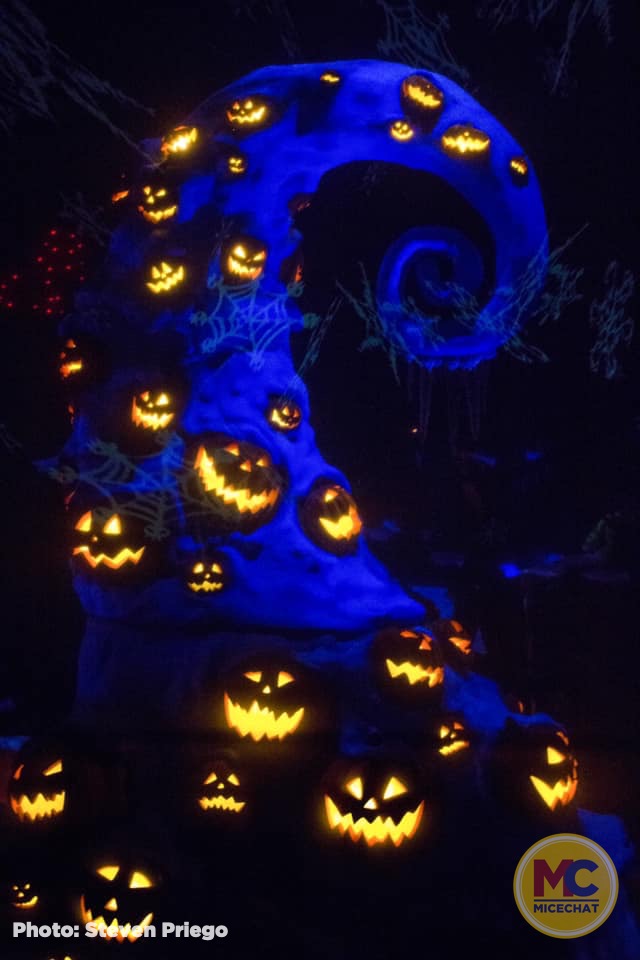 , Disneyland Update – It’s Beginning to Look a Lot Like Progress