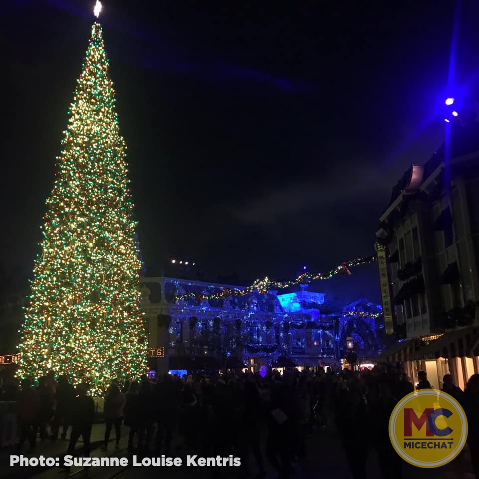 , Disneyland Update – It’s Beginning to Look a Lot Like Progress