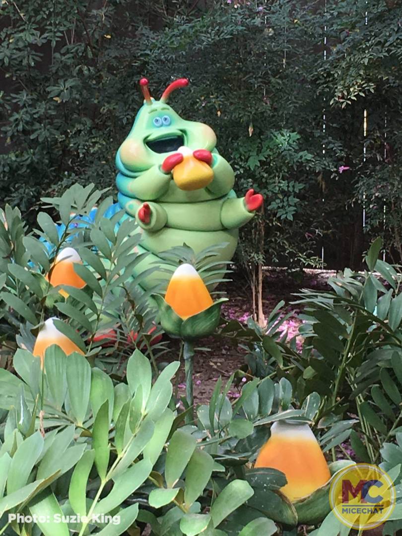 , Disneyland Update – Popping In and Bugging Out
