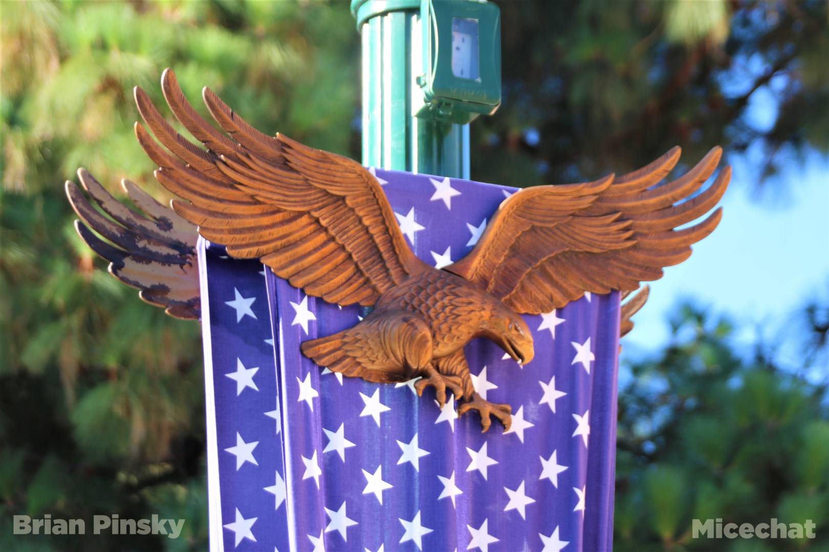 , Knott’s Berry Farm Partially Opens for NEW Festival!