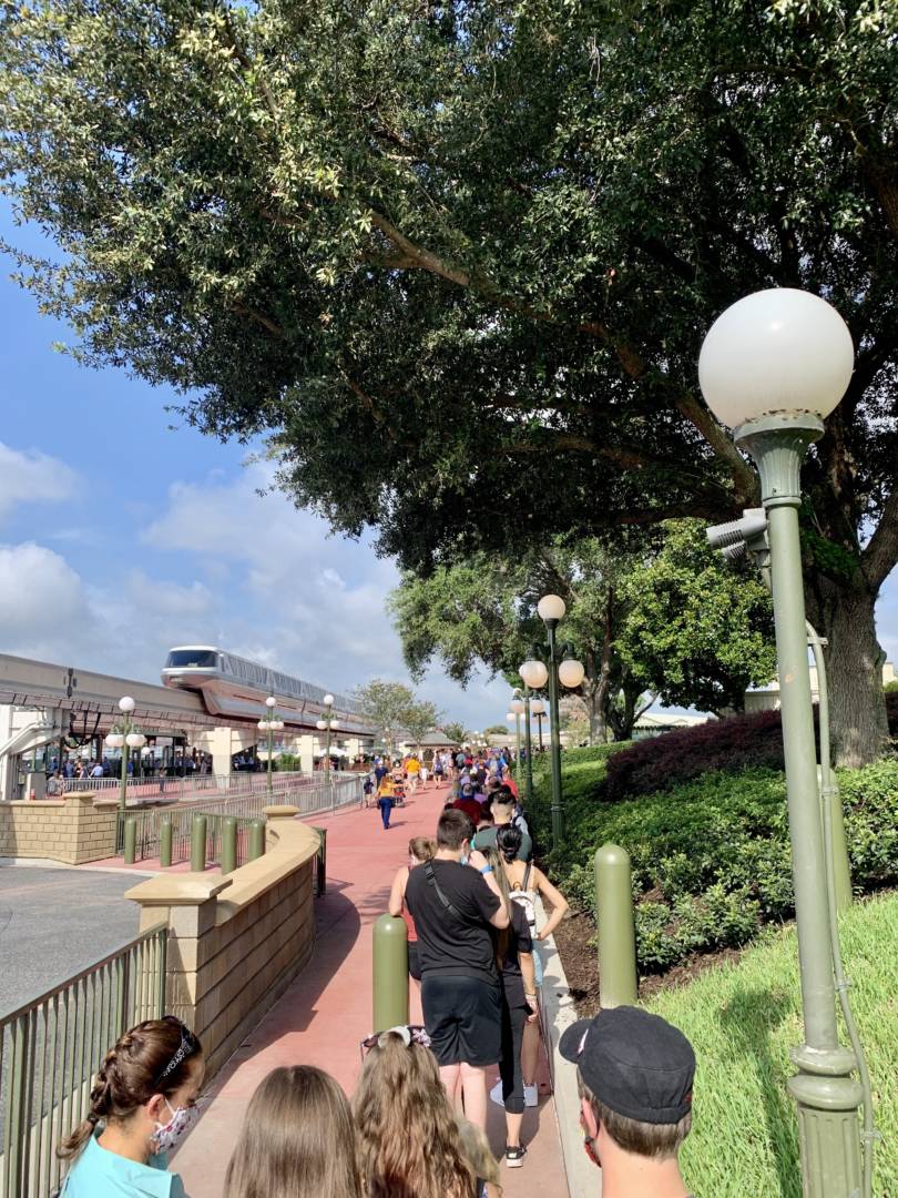 , Disney World Update – Risks and Rewards
