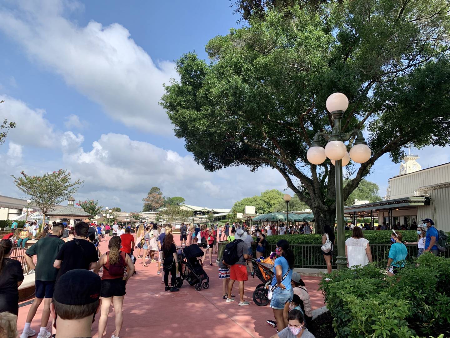, Disney World Update – Risks and Rewards