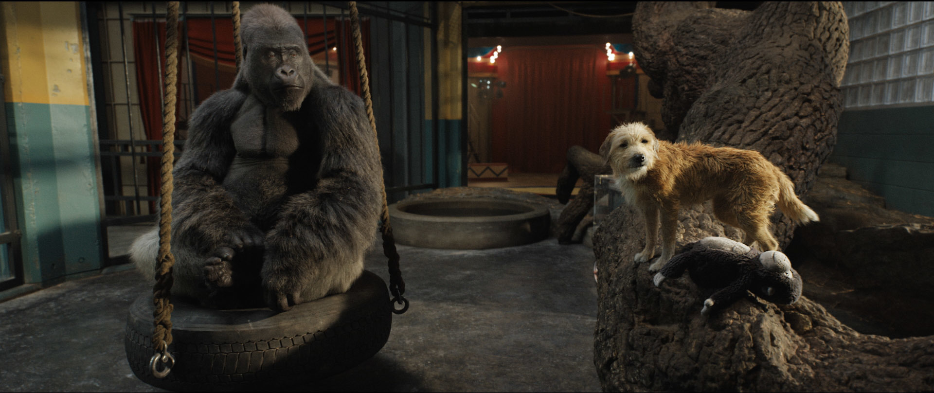 , Here’s What to Watch on Disney Plus and Hulu in August!