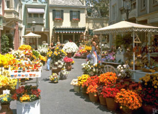 Main Street Flower Market