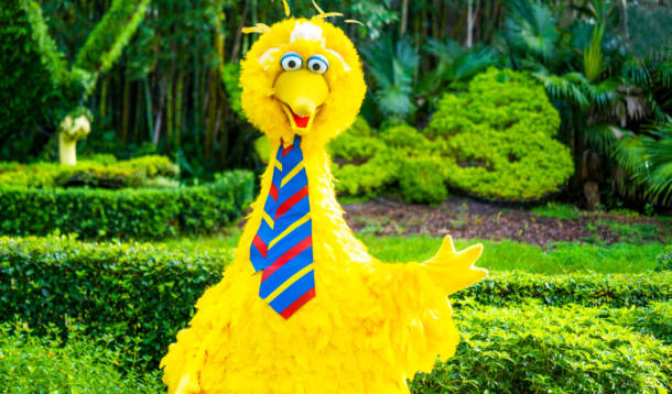 , Busch Gardens Tampa Extends Summer Nights & Receives Accolades