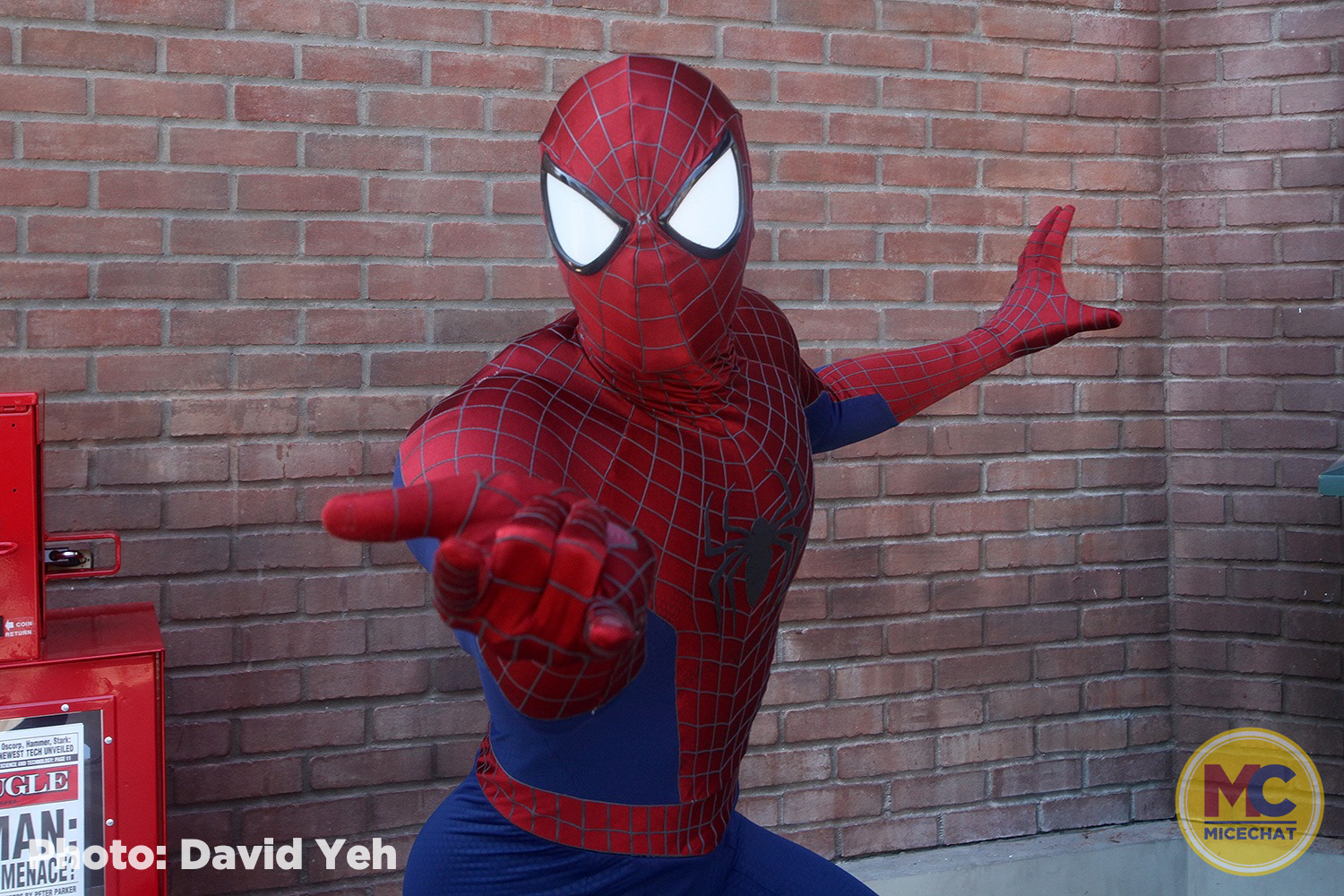, Disneyland Update – New Magic, Aerial Discoveries, and Layoffs