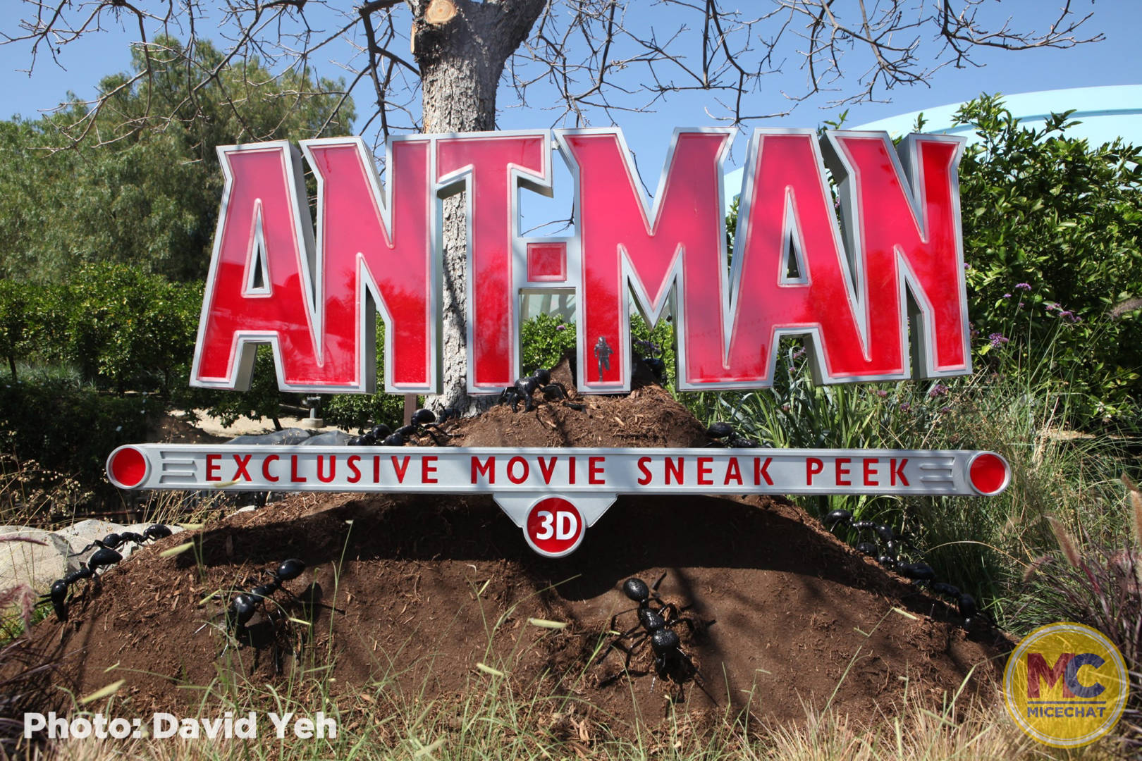 , Disneyland Update – New Magic, Aerial Discoveries, and Layoffs