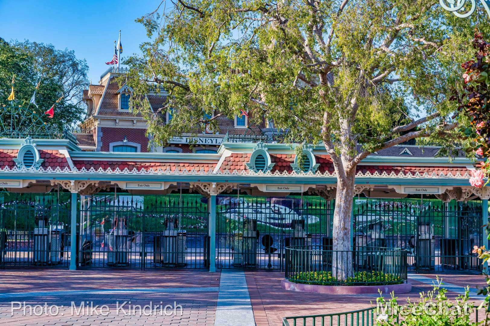 , Disneyland Update – Magic, Mayhem & Parks Bleed Billions