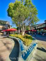 Disneyland-Downtown Disney Garden-micechat