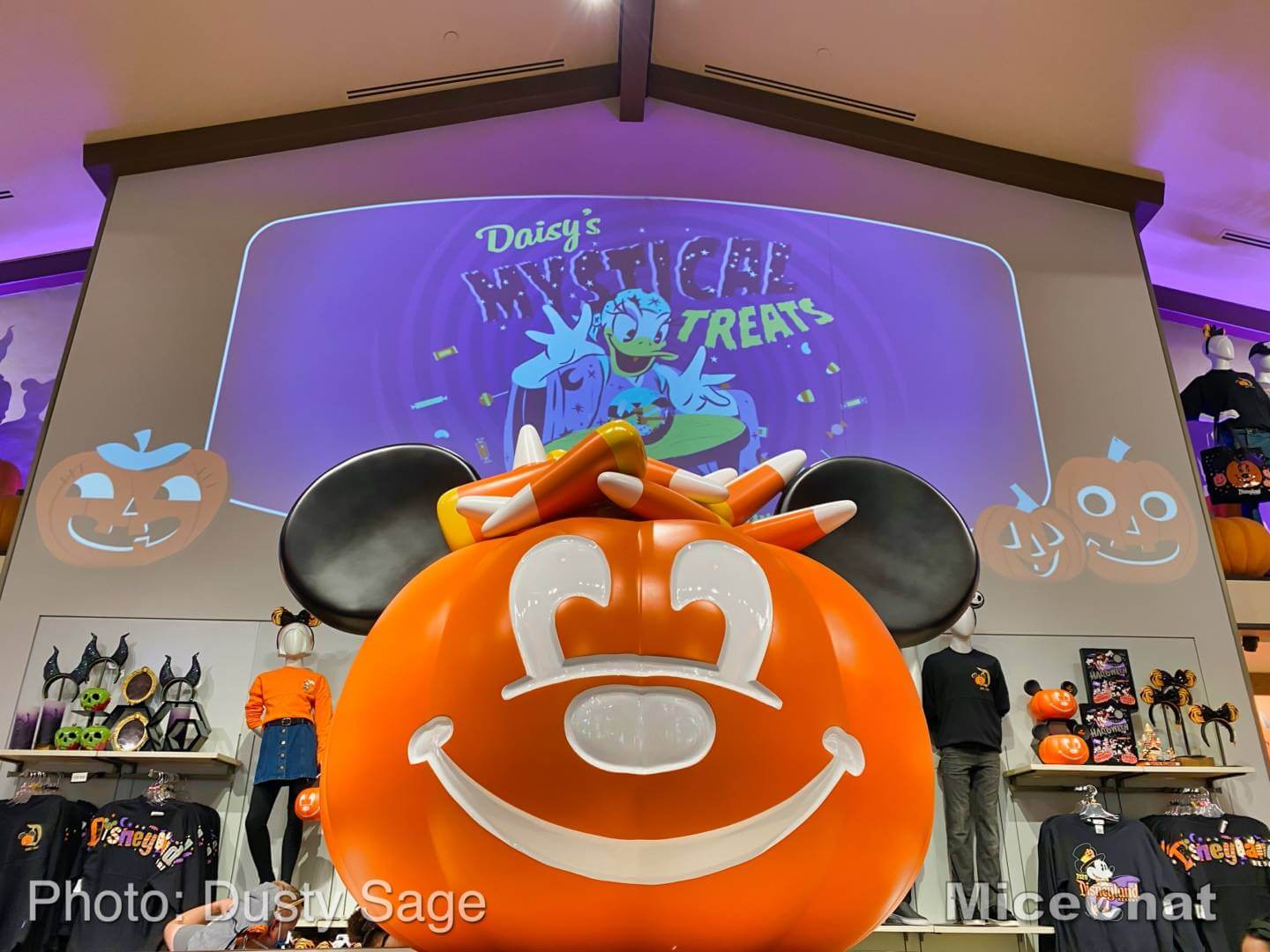 , Disneyland Update! Opportunity Knocks For Disneyland
