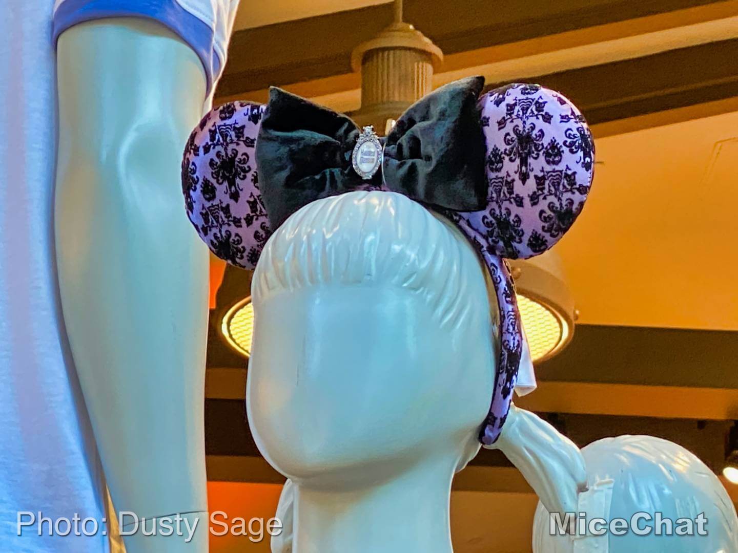 , Disneyland Update! Opportunity Knocks For Disneyland
