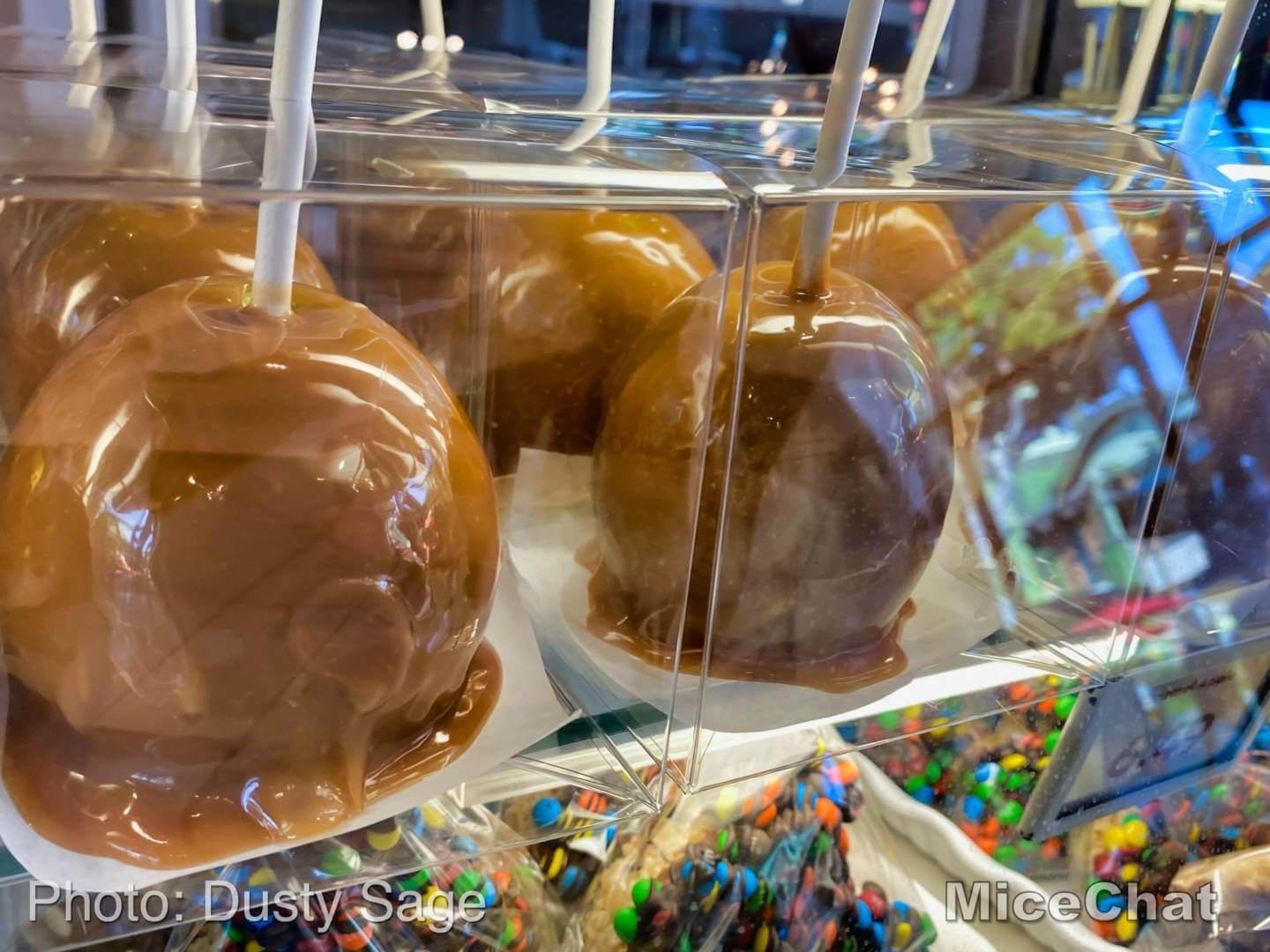 , Disneyland Update! Opportunity Knocks For Disneyland