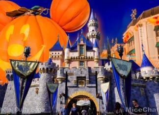 Disneyland Update – The Blueprint For Reopening