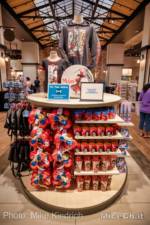 Downtown Disney world of disney Mulan Display-micechat