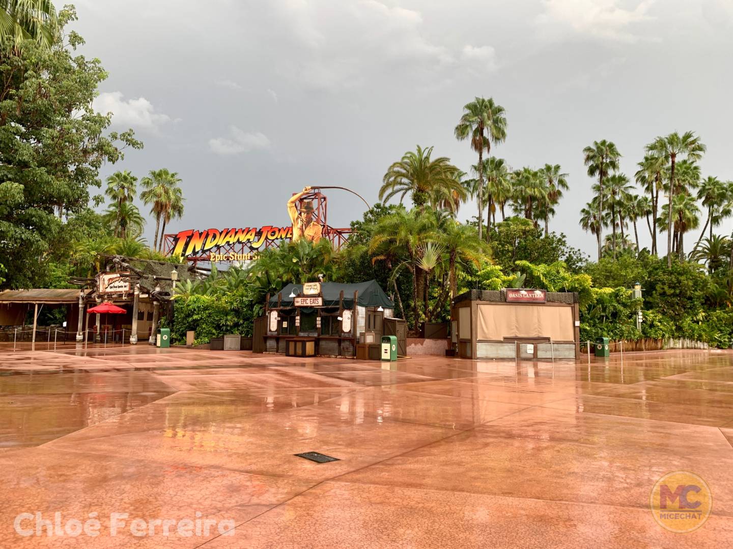, Walt Disney World Update – That Sinking Feeling
