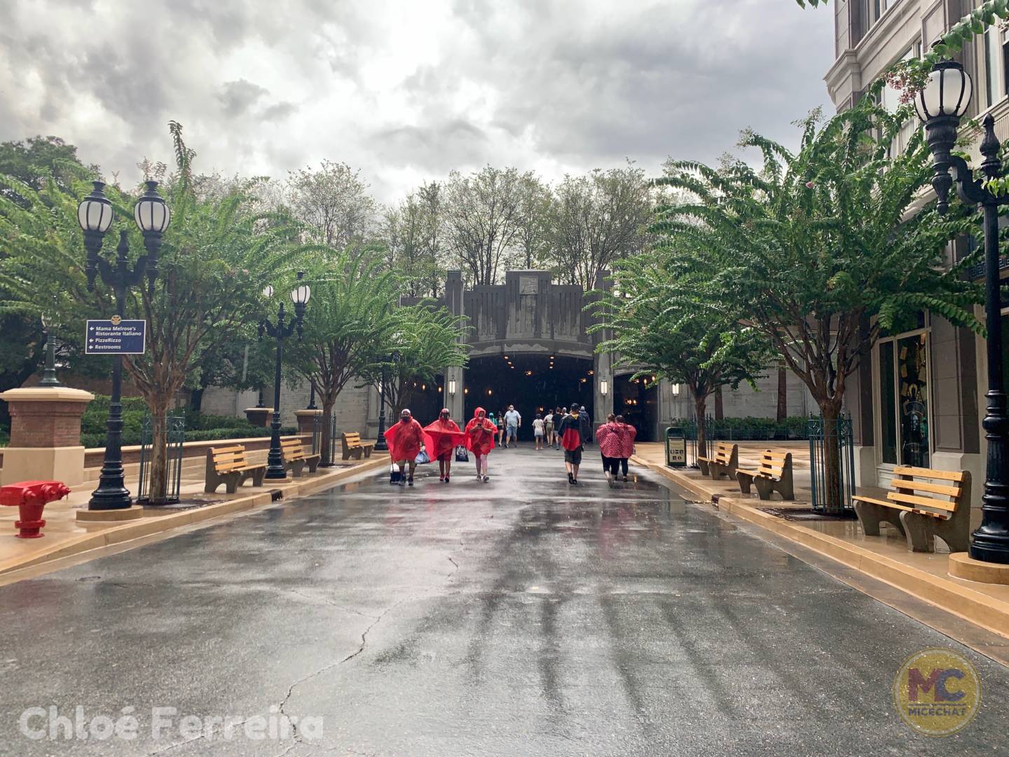 , Walt Disney World Update – That Sinking Feeling