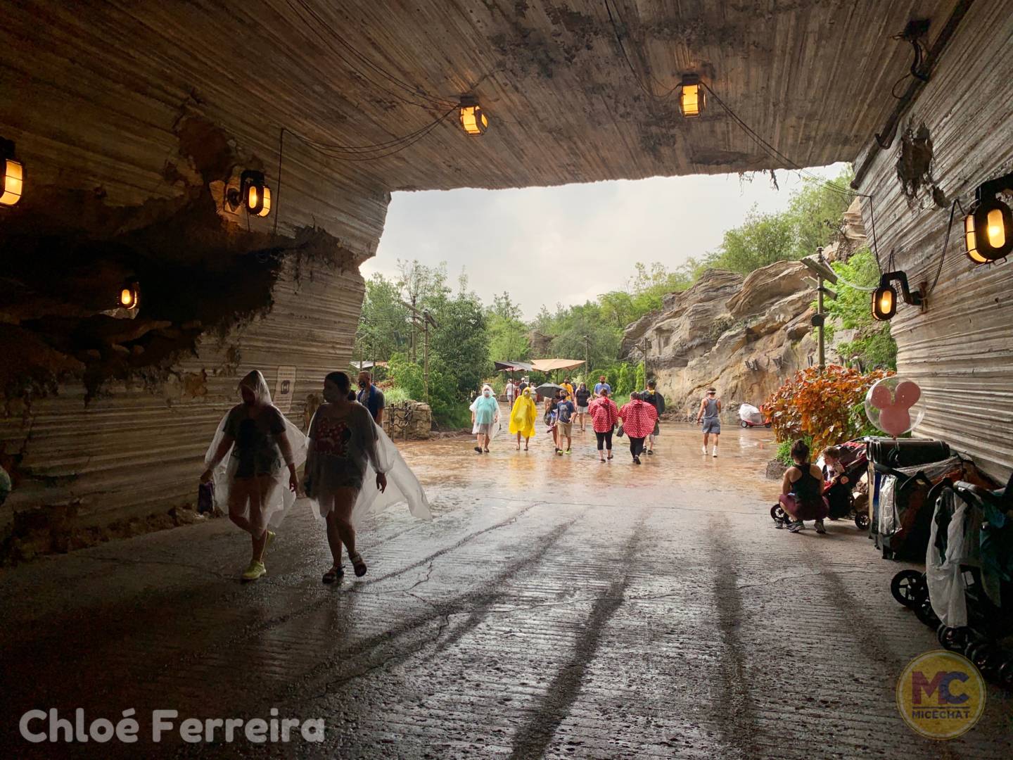 , Walt Disney World Update – That Sinking Feeling