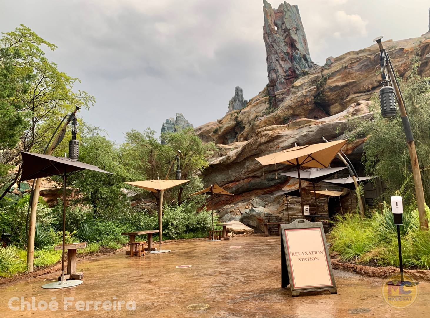 , Walt Disney World Update – That Sinking Feeling