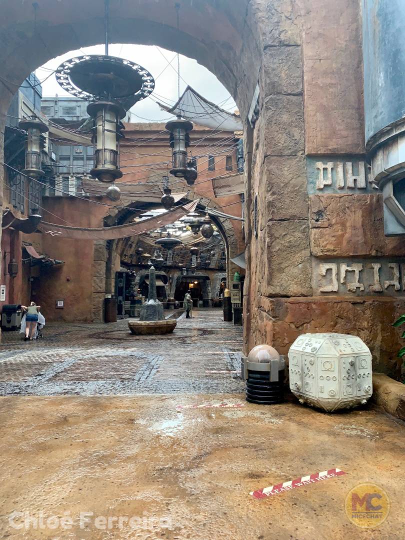, Walt Disney World Update – That Sinking Feeling