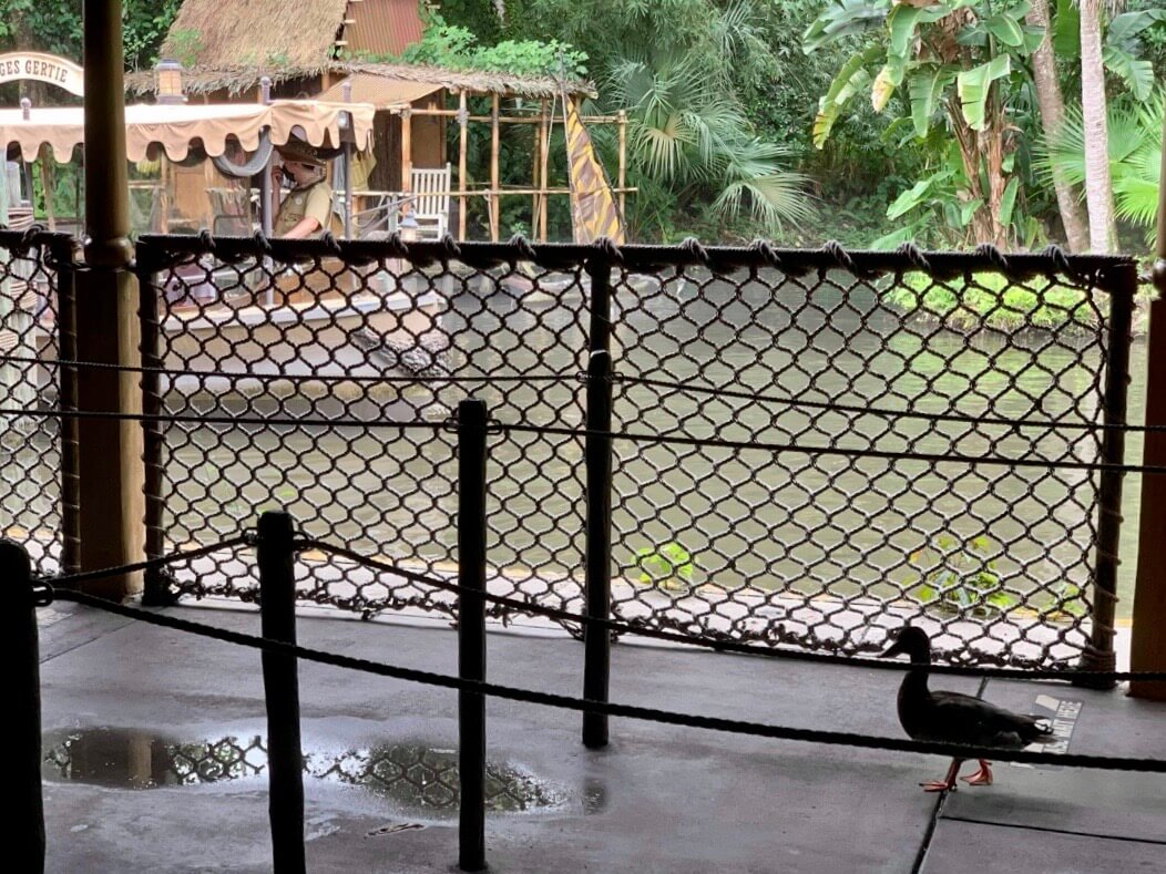 , Walt Disney World Update – Pumpkins in a Lonely Kingdom
